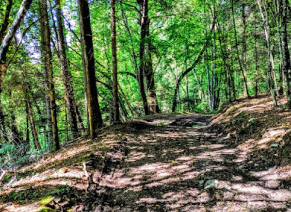 Dolomiti Spaces — Photo 5