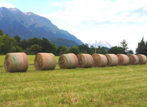 Dolomiti Spaces — Photo 6