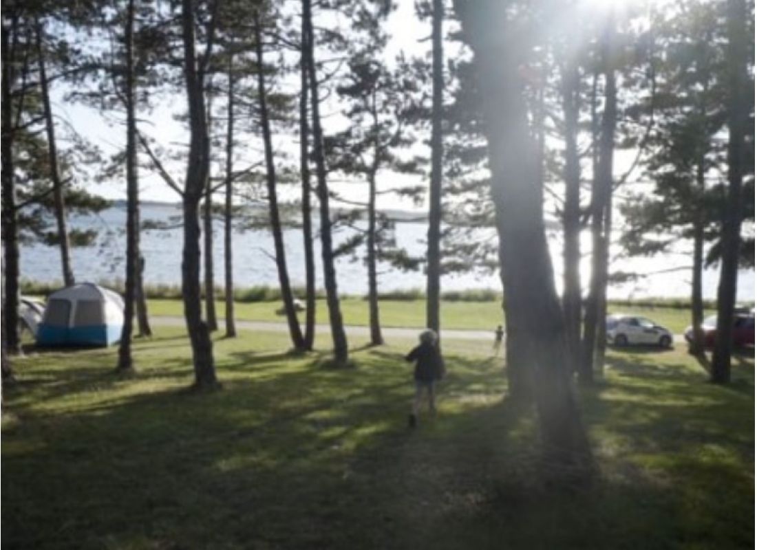 Roskilde Camping — Campingplads in Veddelev
