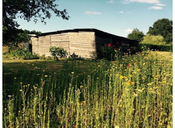 Solferino — Photo 3