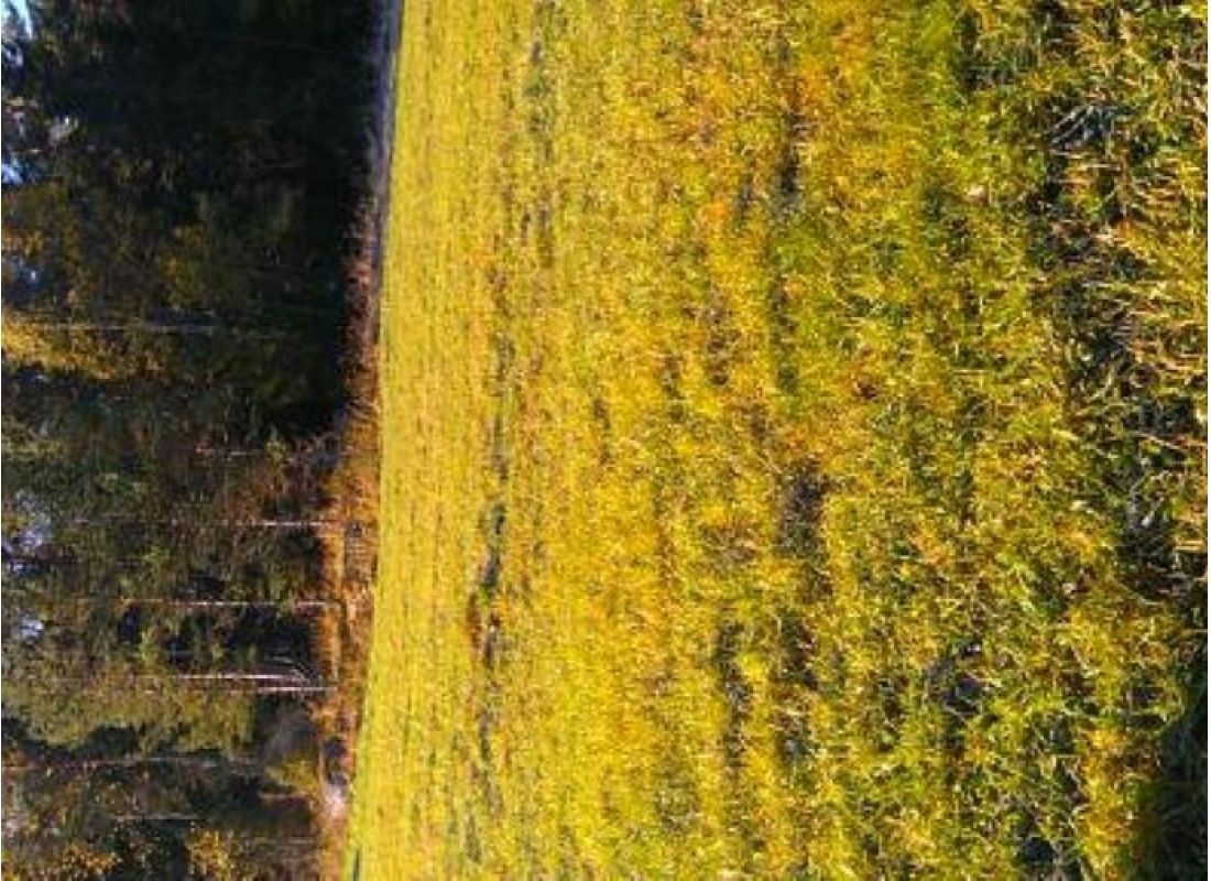 Ekbacken Gräddö Q — Kemp in Gräddö