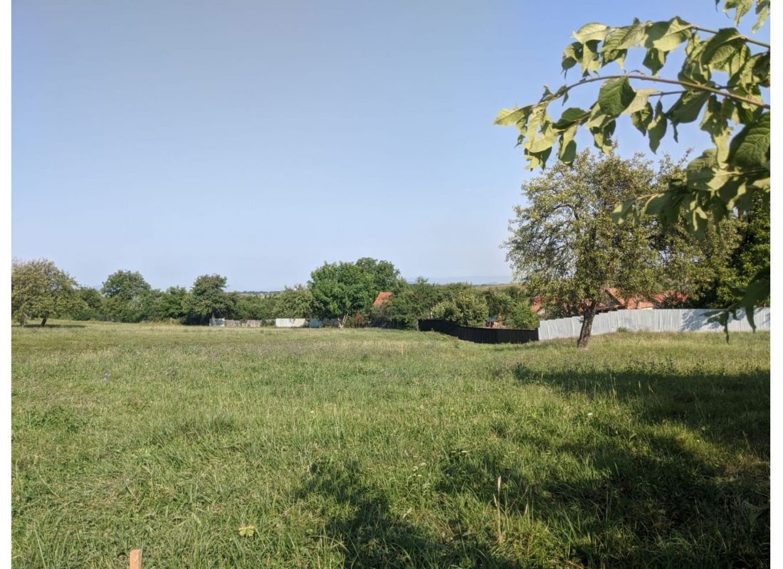 Purcareni Offcamping — Kemping in Purcăreni