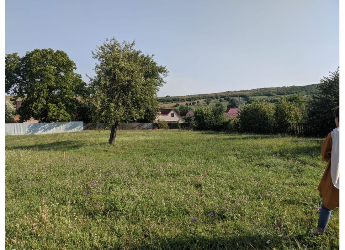 Purcareni Offcamping — Campingplass in Purcăreni