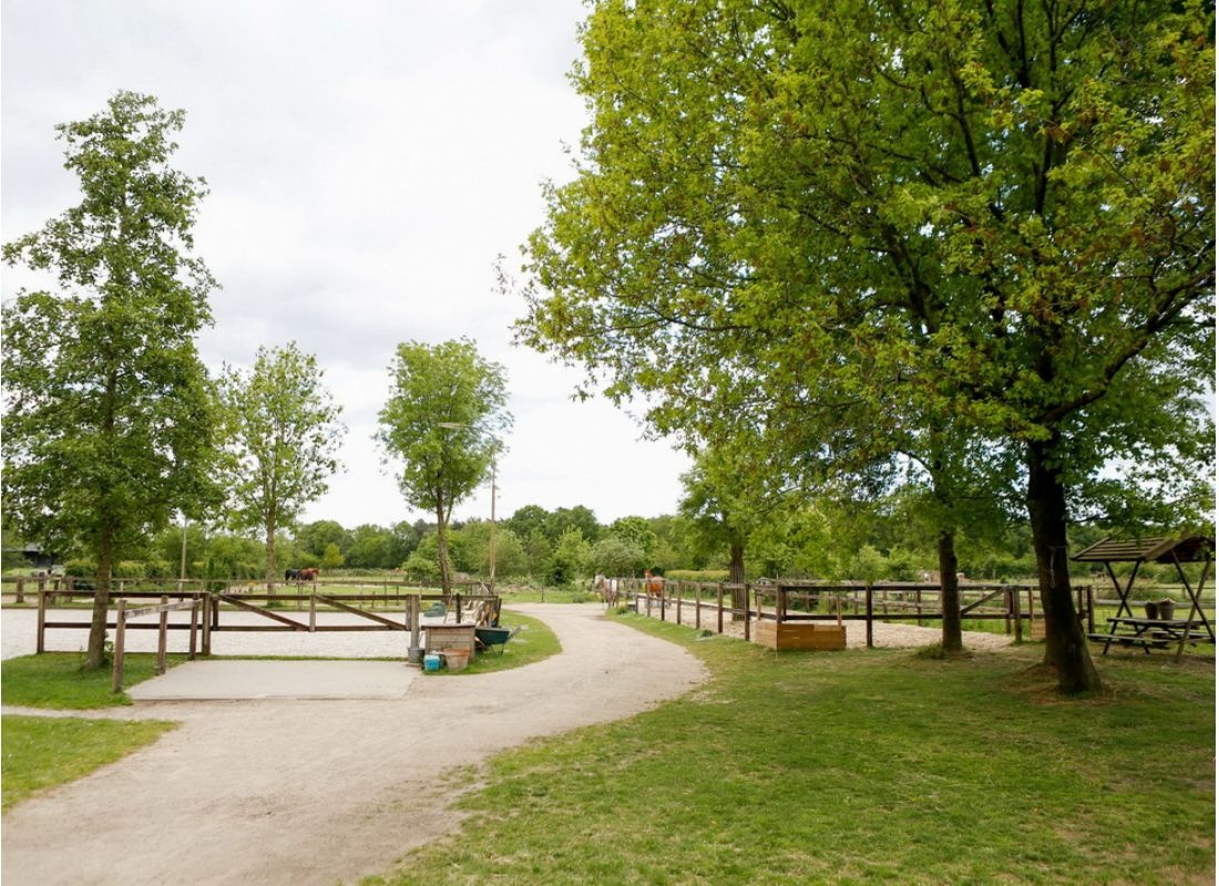 Het Lage Veld — Campervan Site in Lunteren