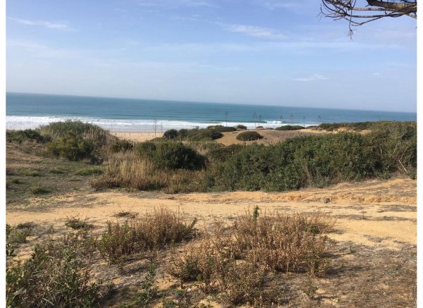 Finca el Alma del Buho — Foto 4