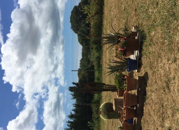 Finca el Alma del Buho — Foto 3