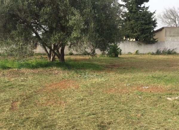 Finca el Alma del Buho — Foto 6