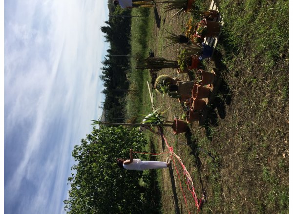 Finca el Alma del Buho — Foto 5