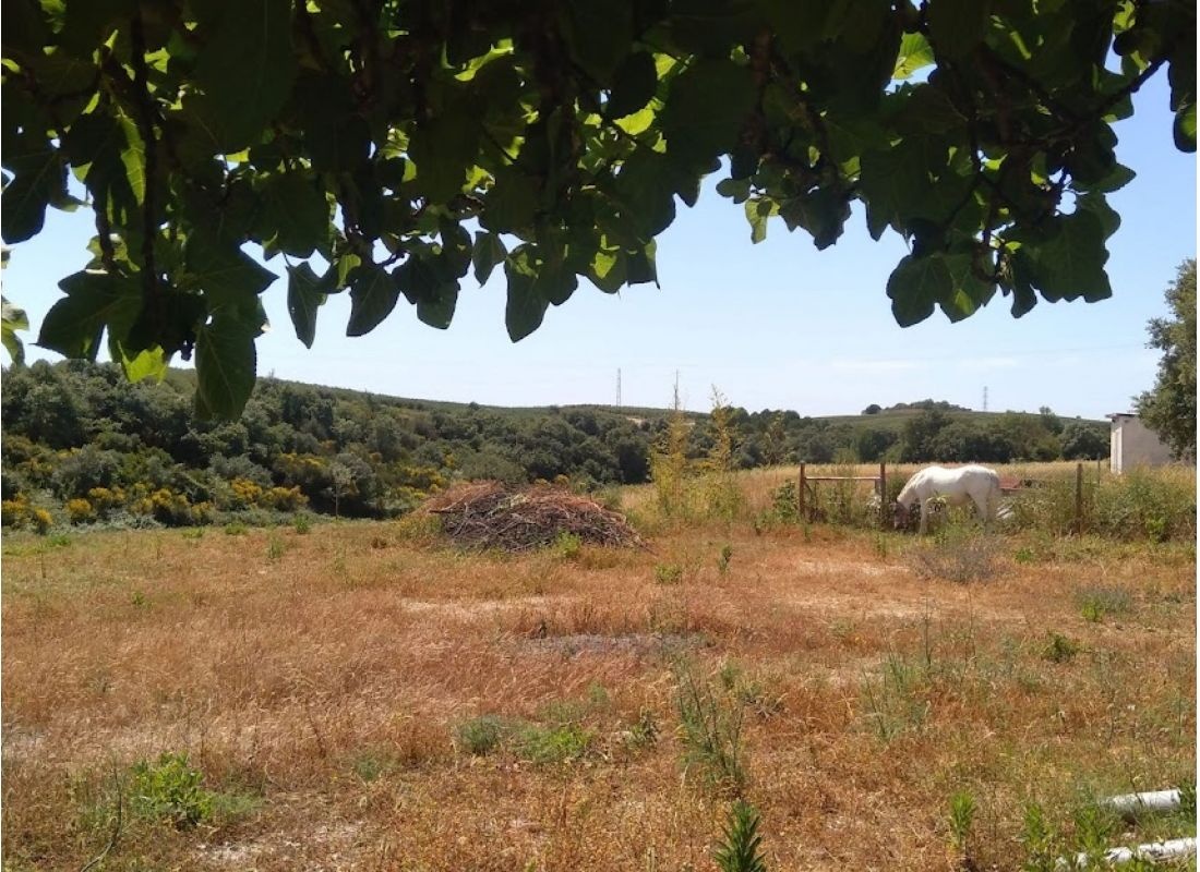 Porta da Azinheiras — Area di sosta in Póvoa de Santarém