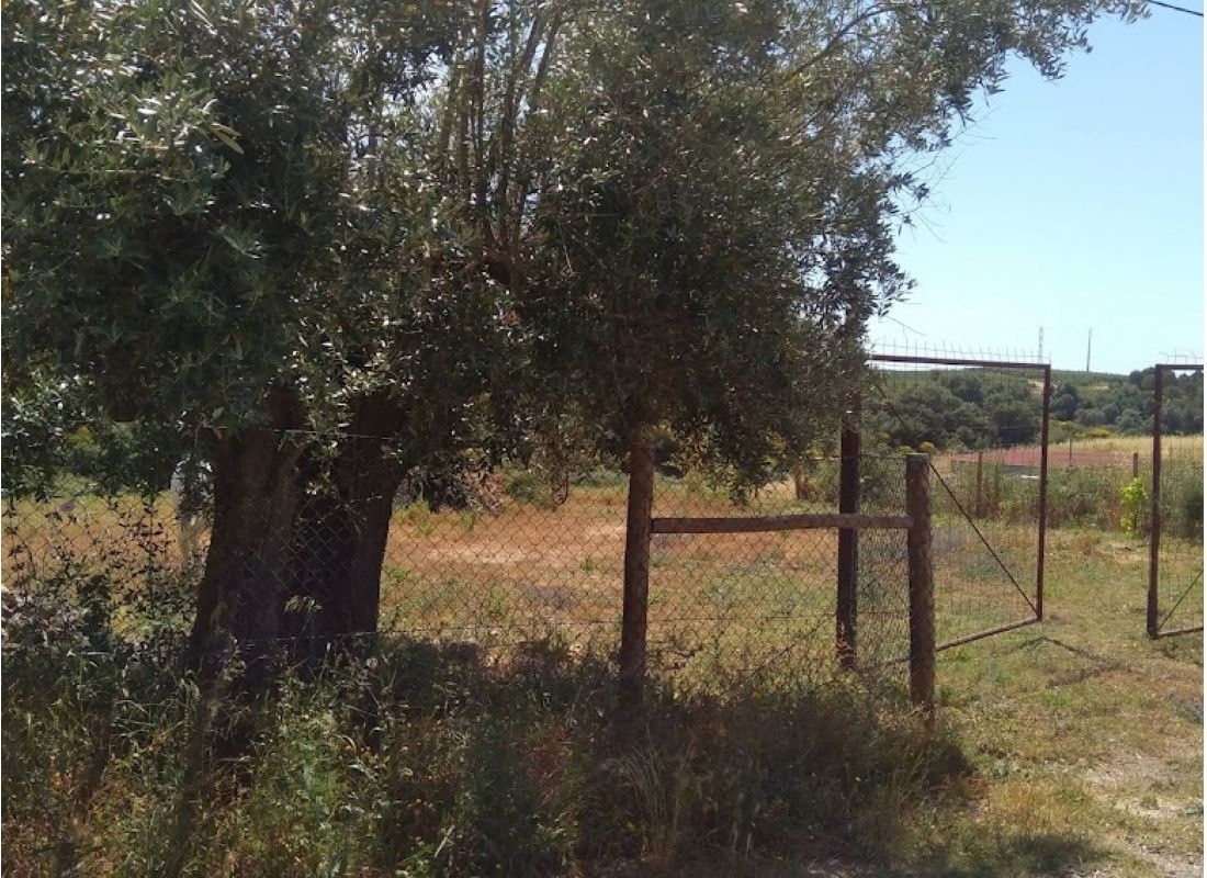 Porta da Azinheiras — Sp. parking dla kamperów in Póvoa de Santarém