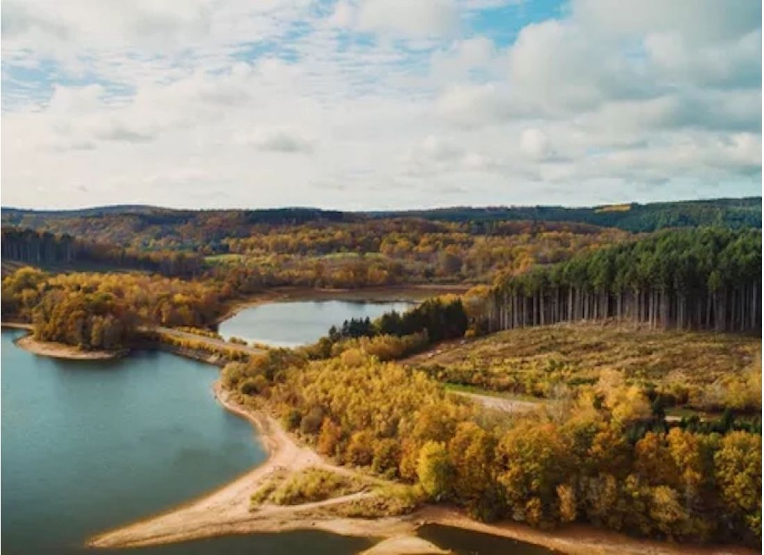Etang du Lacet — Camperplads in Moux-en-Morvan