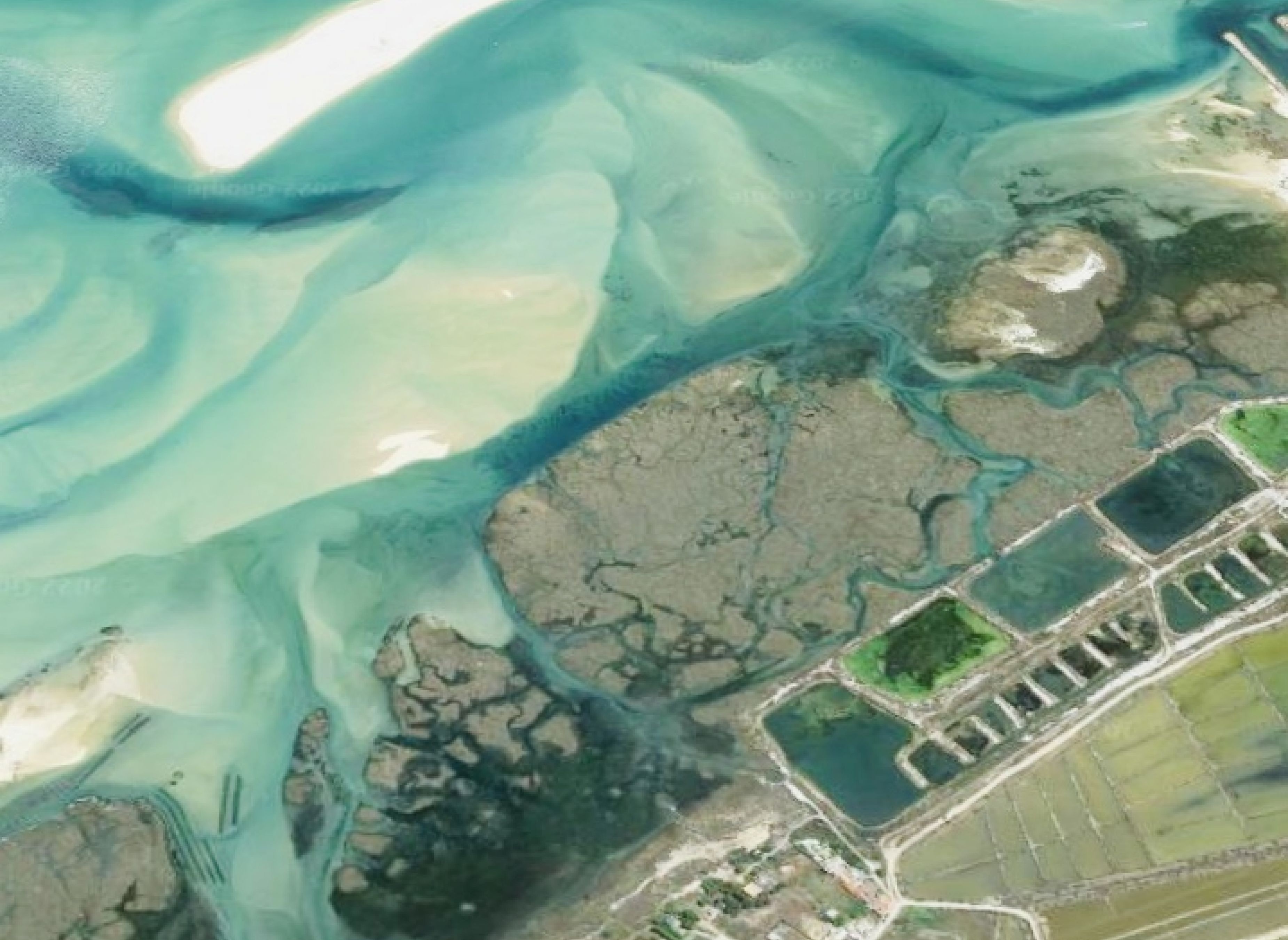 Algarve, Parque Natural Rua Formosa, Murteira, Quinta Bragança — Sp. parking dla kamperów in Moncarapacho