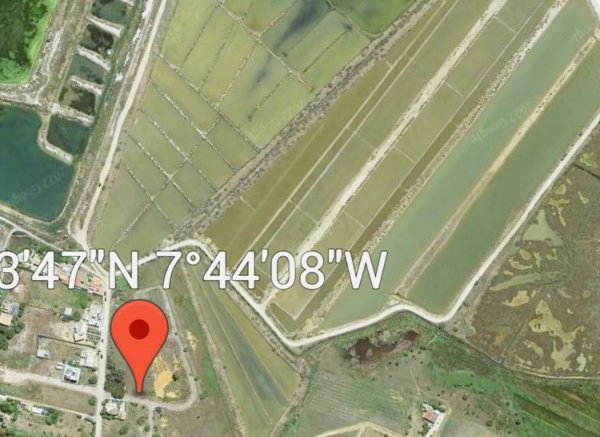 Algarve, Parque Natural Rua Formosa, Murteira, Quinta Bragança — Photo 3