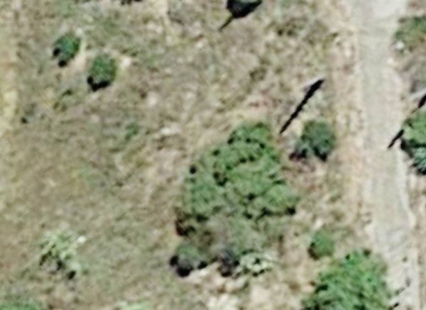 Algarve, Parque Natural Rua Formosa, Murteira, Quinta Bragança — Photo 5