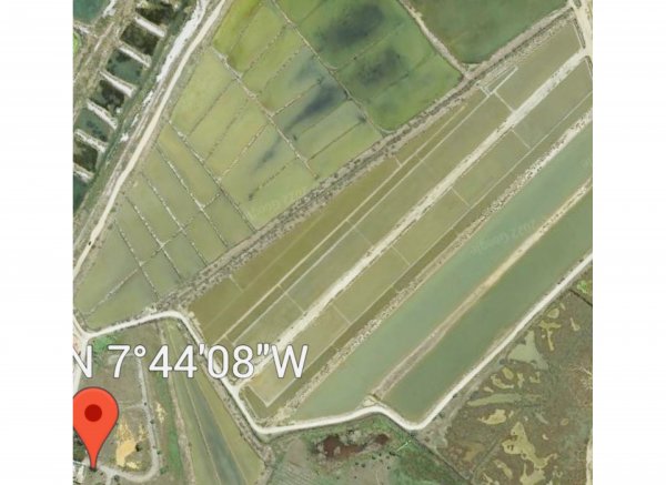 Algarve, Parque Natural Rua Formosa, Murteira, Quinta Bragança