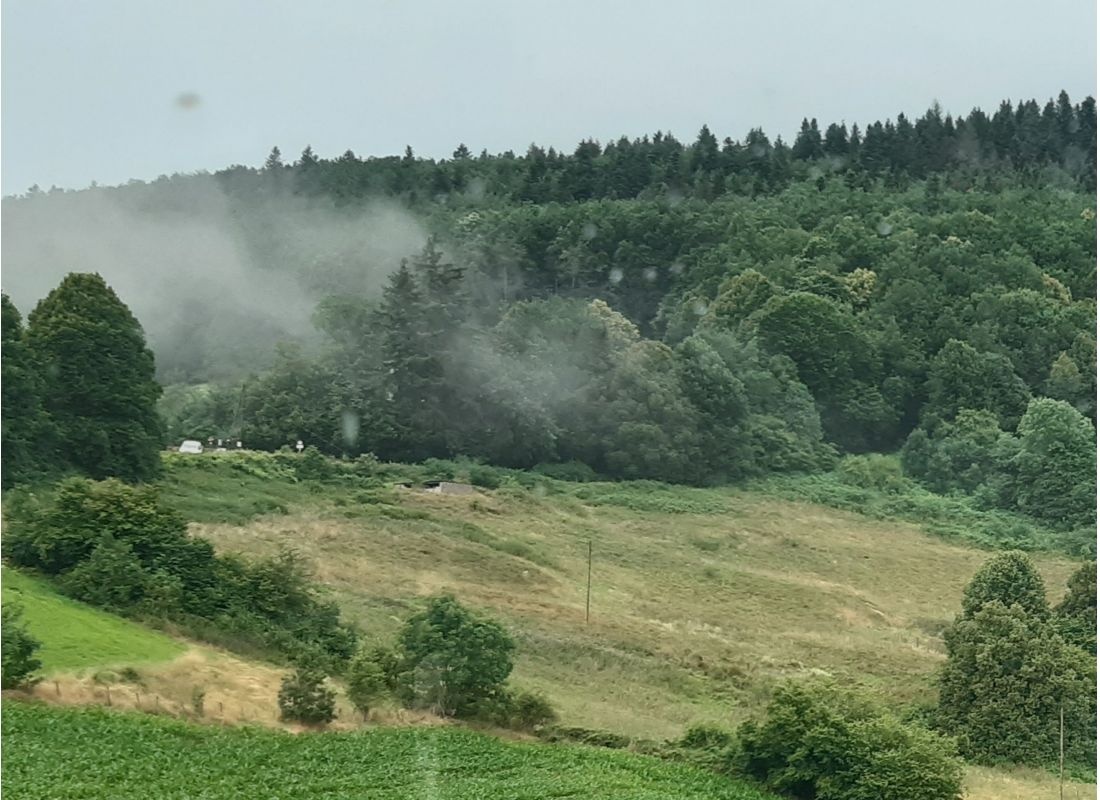 Chez Cin — Campingplats in Villechenève