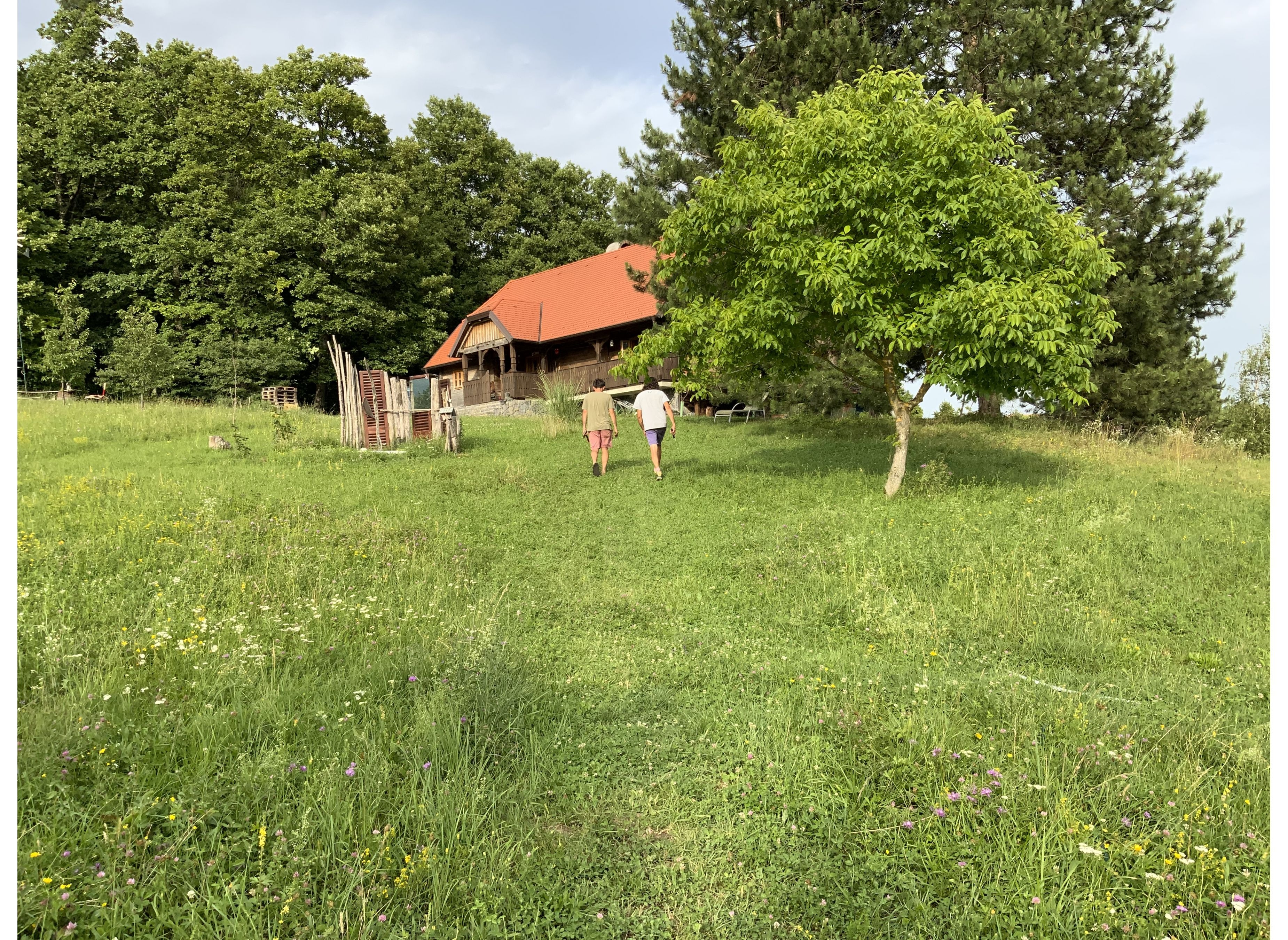 Fox's Haven — Camping Site in Stankovo