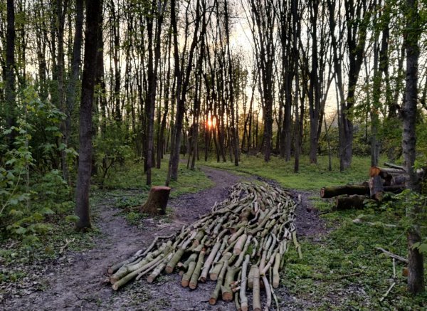 Camping Taniaburg — Foto 2