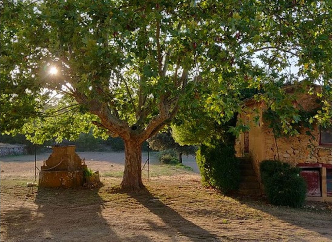 Domaine Saint-Antonin — Camping Site in Jouques