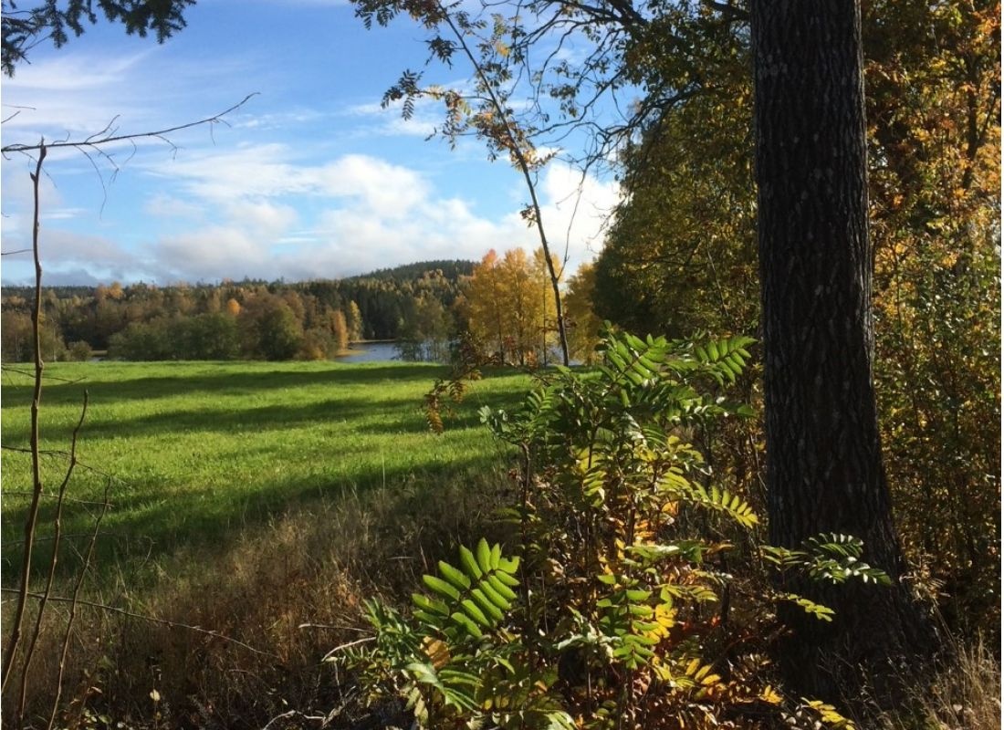 På landet utanför Härnösand — Campervan Site in Härnösand
