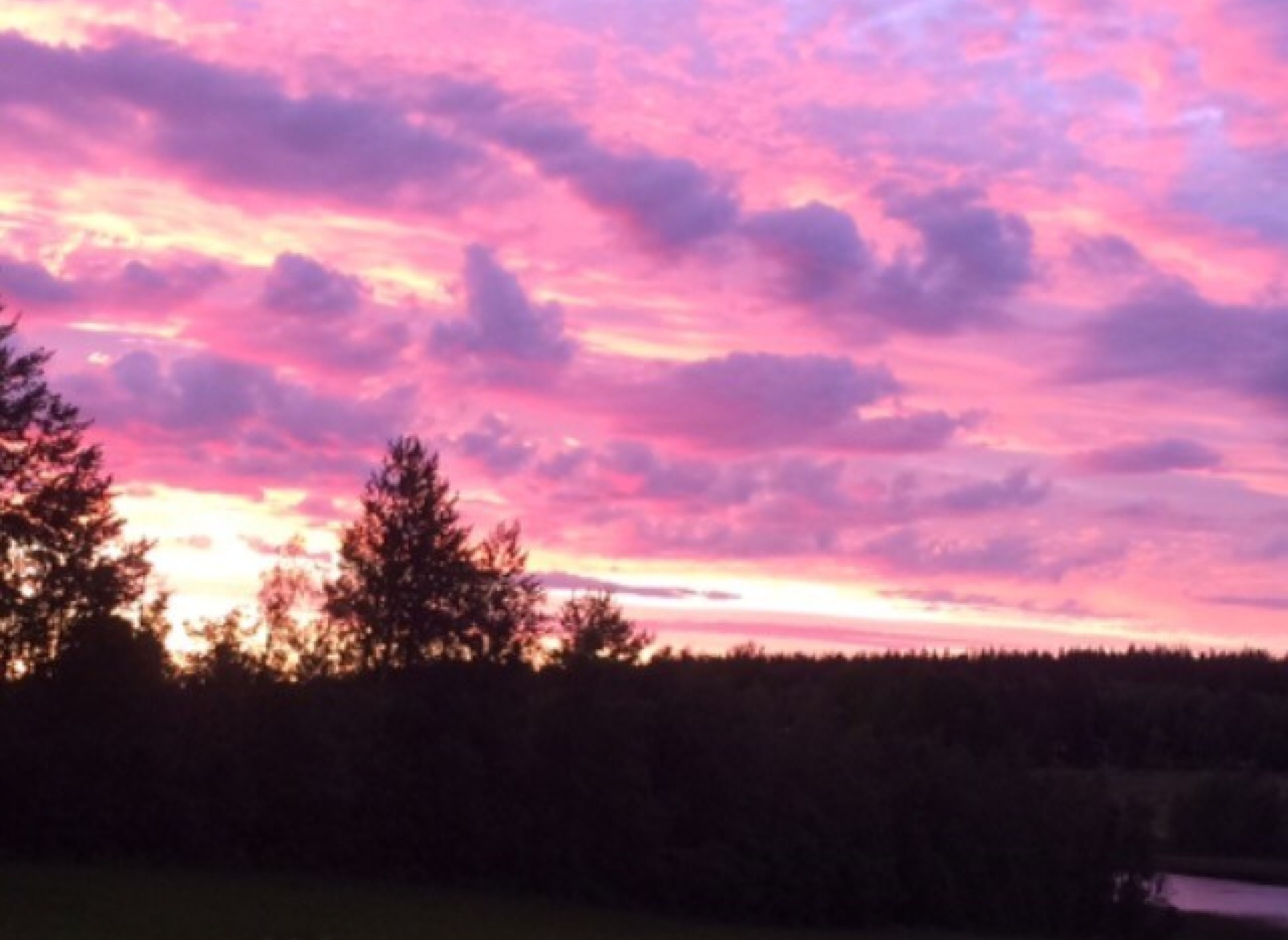 På landet utanför Härnösand — Camperplaats in Härnösand