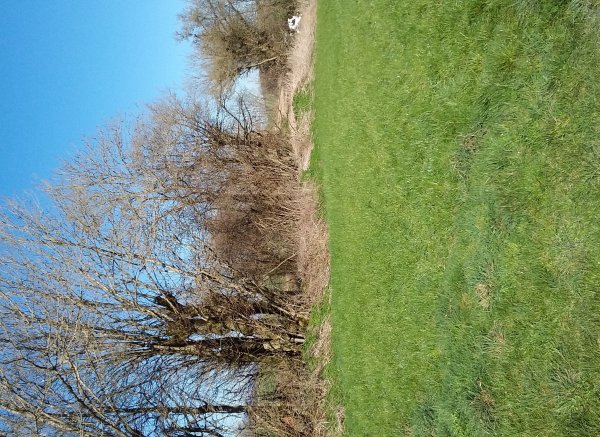 Sermeillets — Photo 3