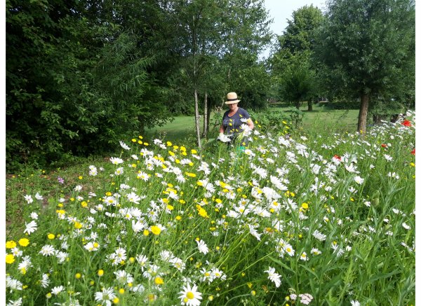 Minicamping De Groene Donk — Photo 4
