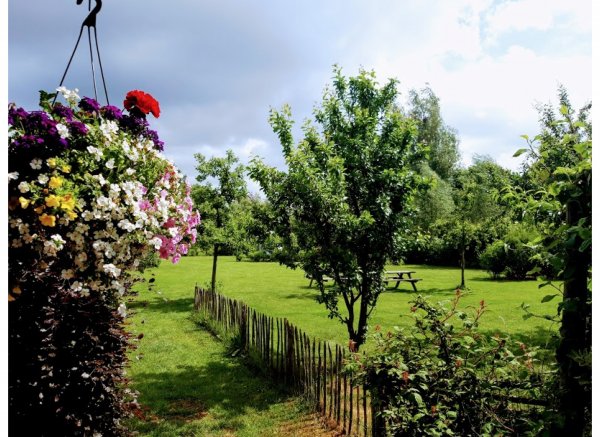 Minicamping De Groene Donk — Photo 5