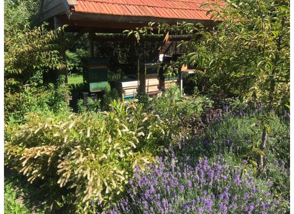 Minicamping De Groene Donk — Photo 6