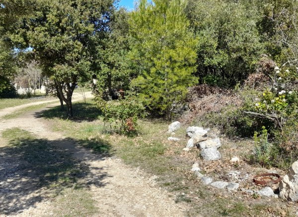 Solo Campo — Photo 2