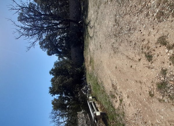 Solo Campo — Photo 3