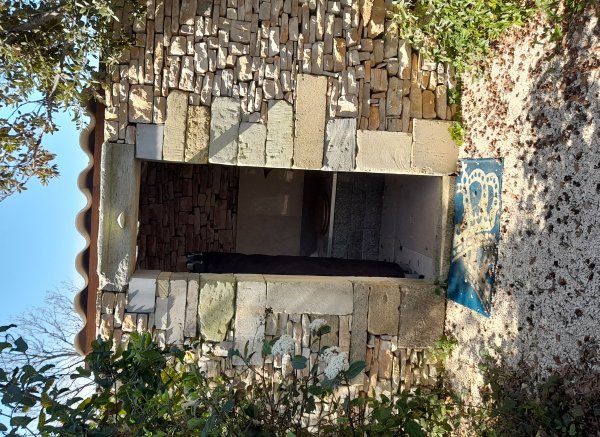 Solo Campo — Photo 6