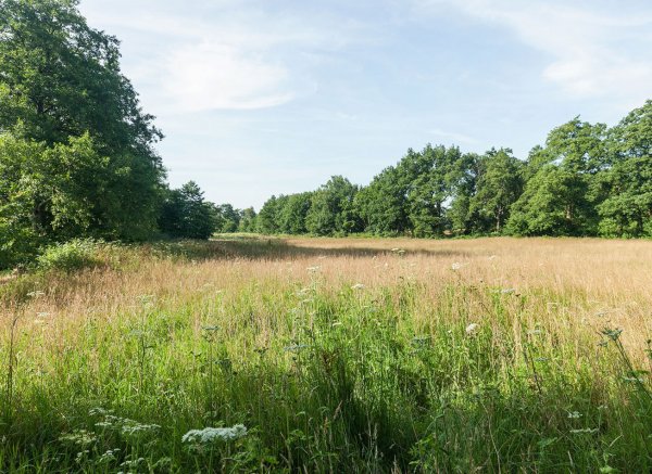 Camping De Groene Valk — Foto 6