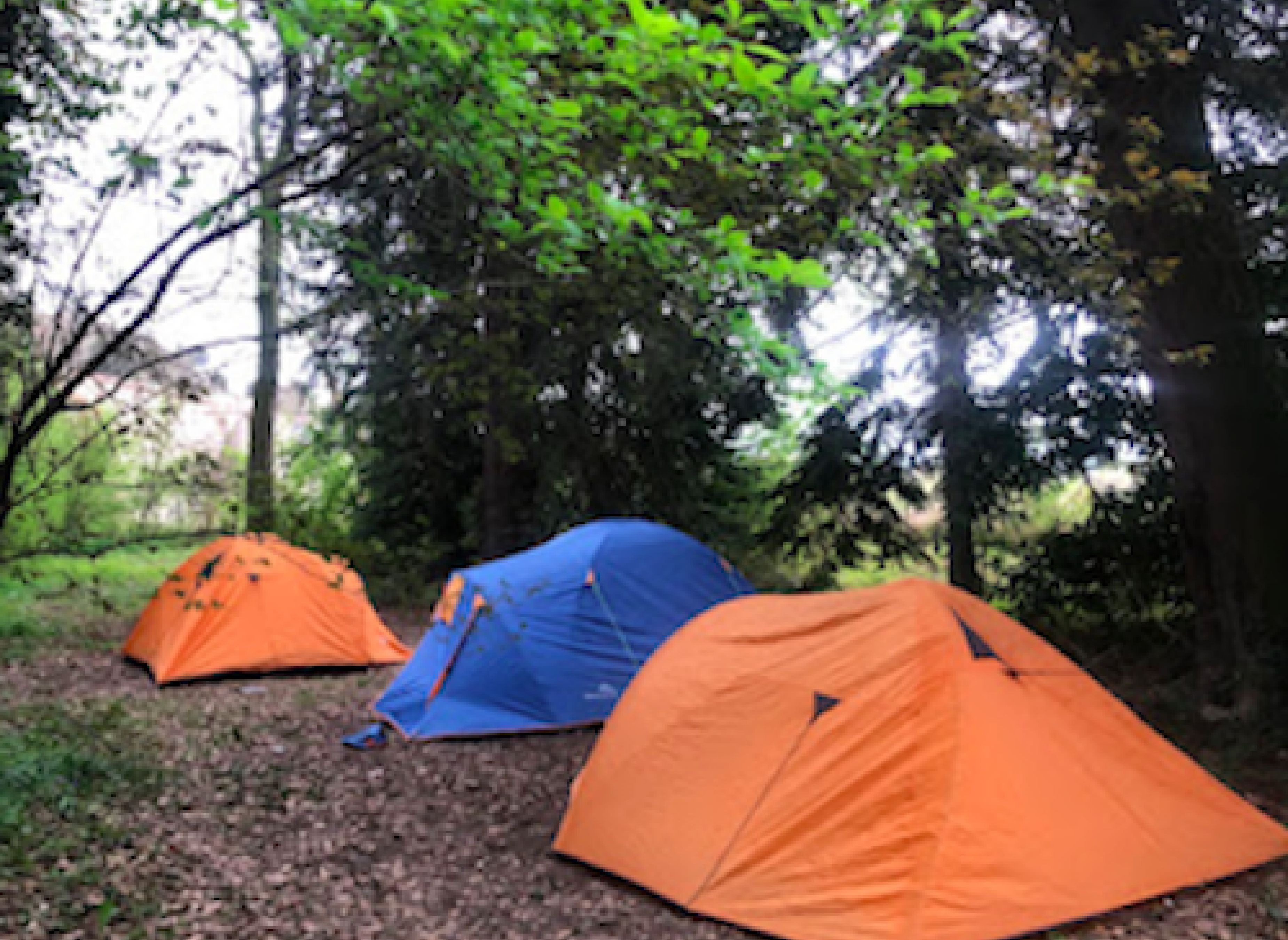 Bosque de la Ecovila Sequoia — Camperplads in Vila-seca