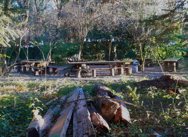 Bosque de la Ecovila Sequoia — Photo 2