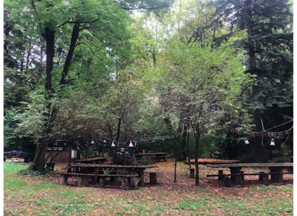 Bosque de la Ecovila Sequoia — Photo 4
