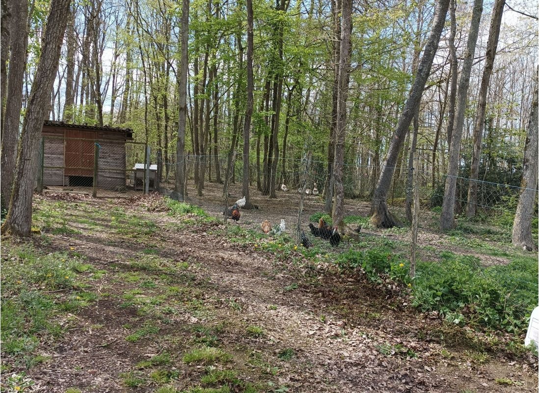 Camping chez l'habitant — Camperplaats in Marcilly-en-Beauce