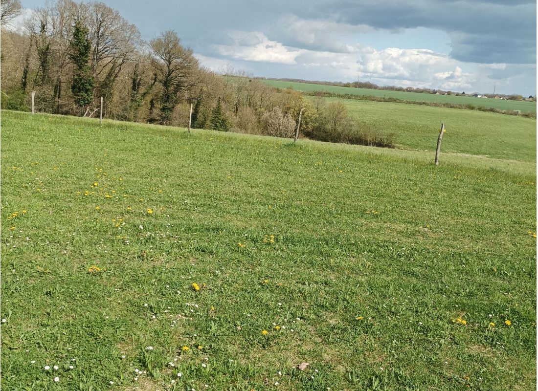 Camping chez l'habitant — Aire camping car in Marcilly-en-Beauce