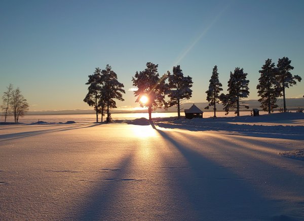 VillaNilla — Photo 4