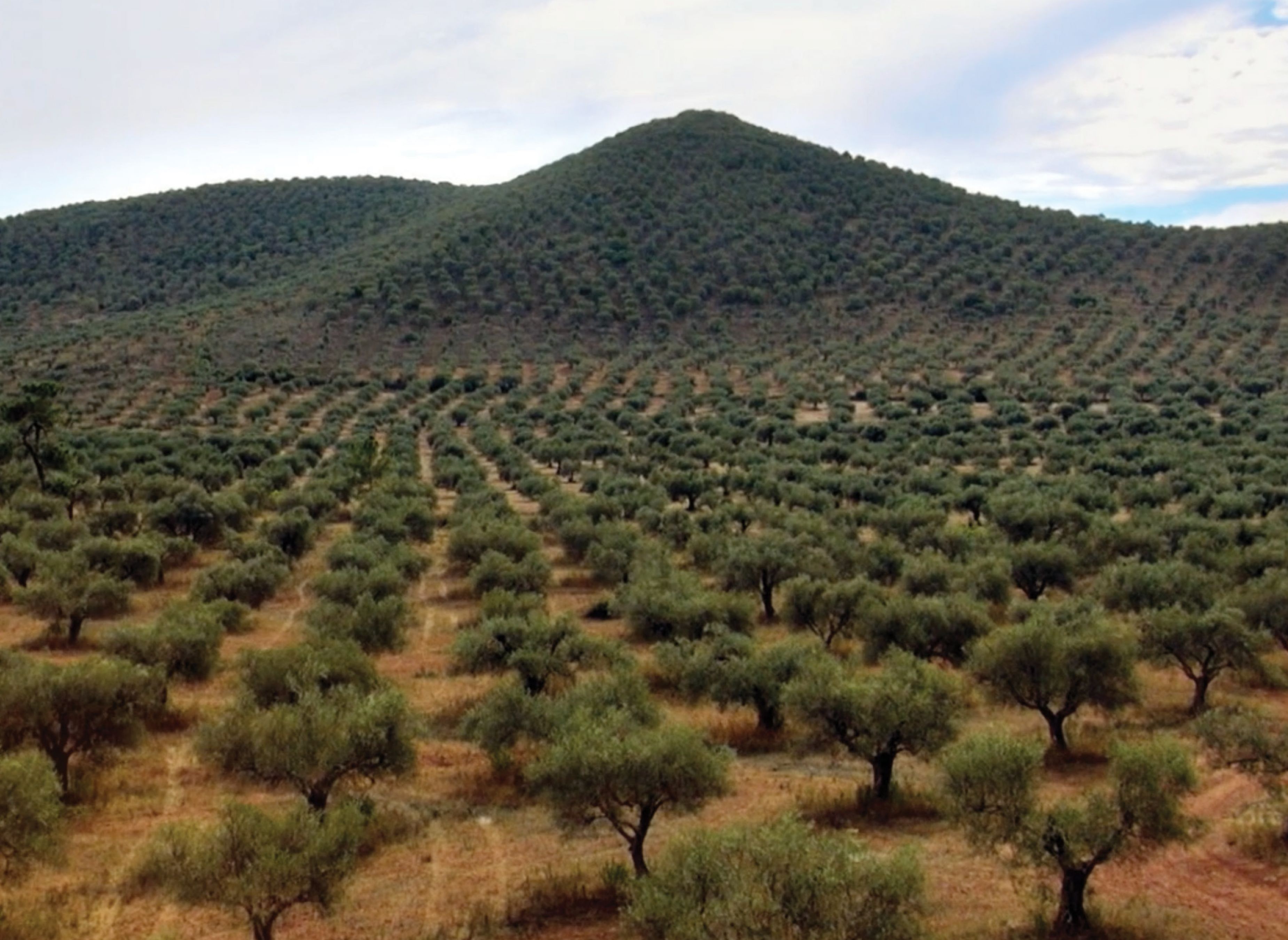 Monte das Louzeiras — Campingplatz in Vale de Vargo