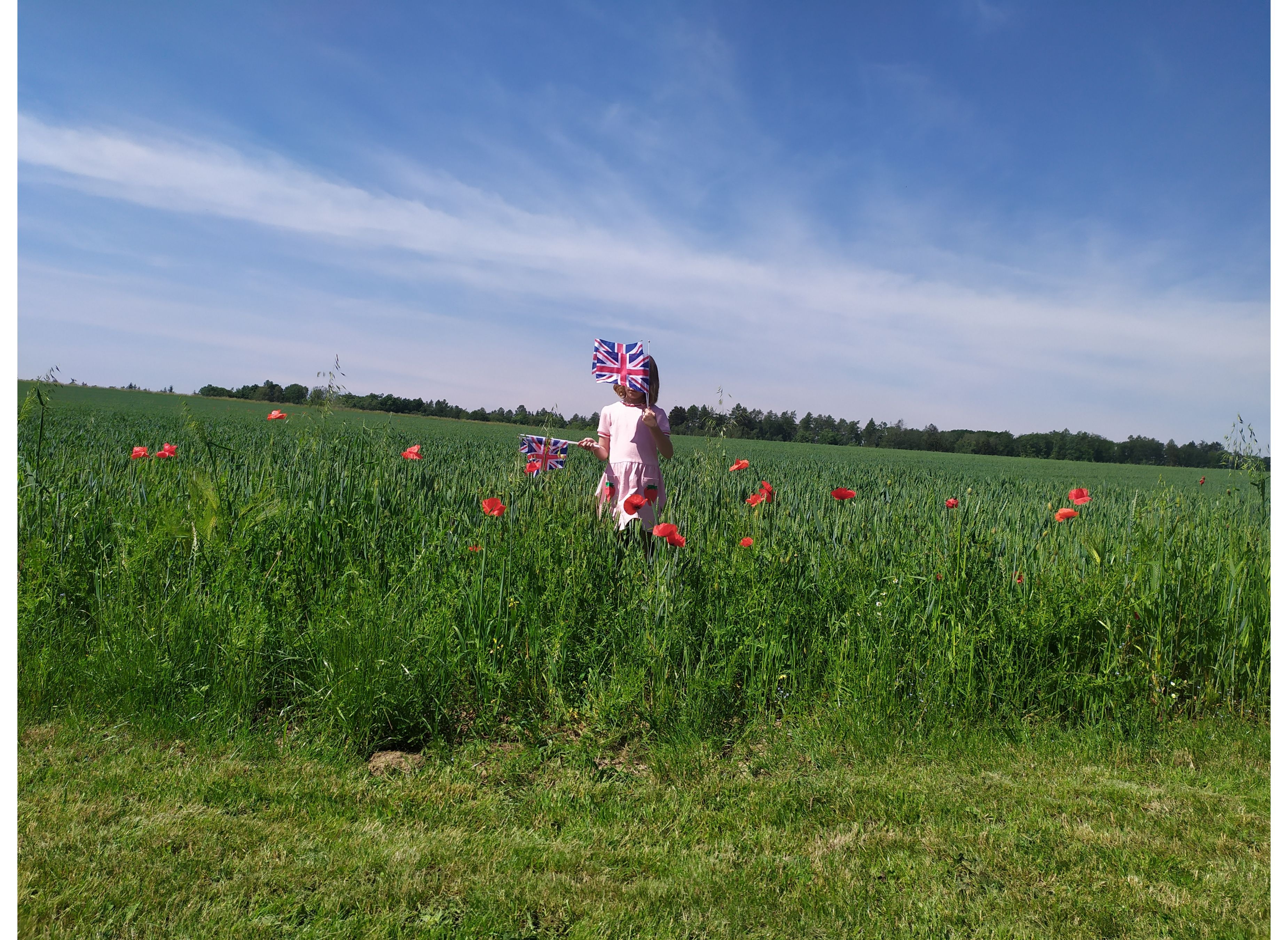 Little goat — Sítio para autocaravanas in Bukvice