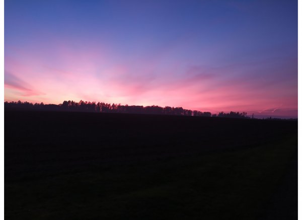 Little goat — Photo 2