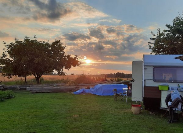 Little goat — Photo 3