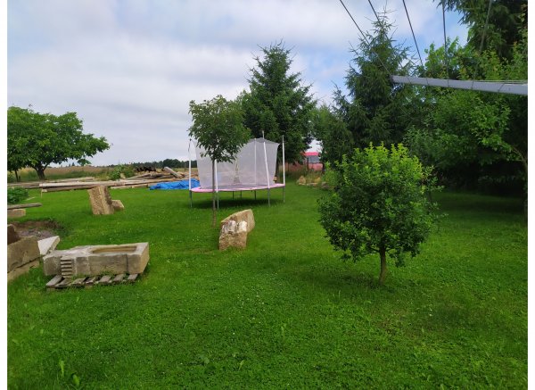 Little goat — Photo 5