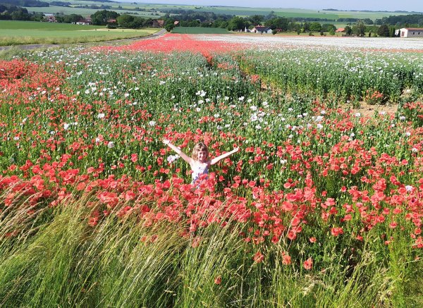 Little goat — Photo 6