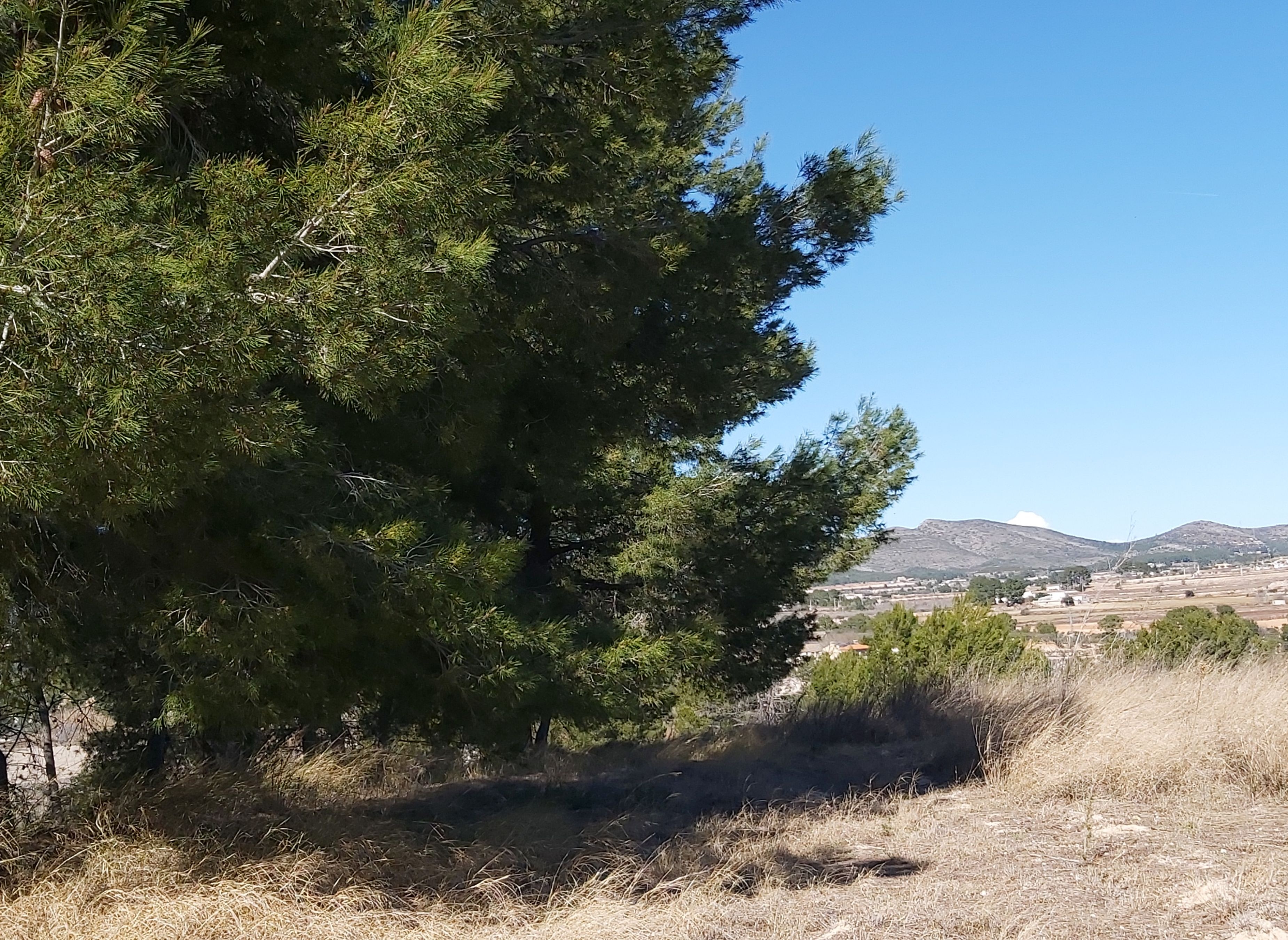 El campamento de las 21 hanegadas y media — Stellplatz in Bufali