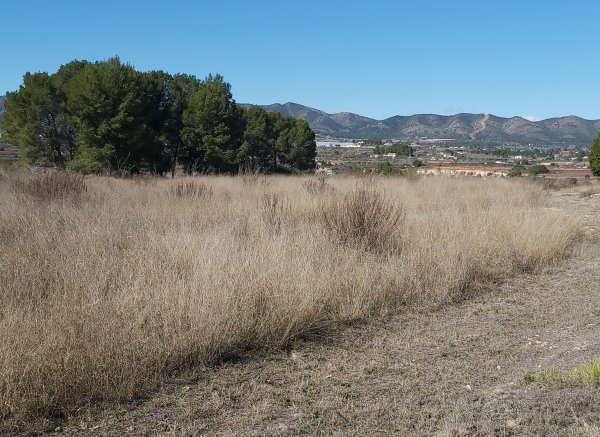 El campamento de las 21 hanegadas y media — Photo 3