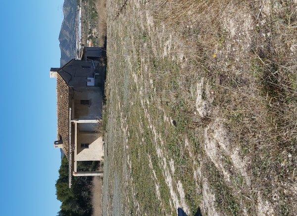 El campamento de las 21 hanegadas y media — Photo 4