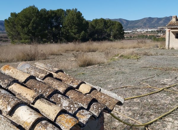 El campamento de las 21 hanegadas y media — Photo 5