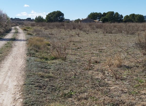 El campamento de las 21 hanegadas y media — Foto 6
